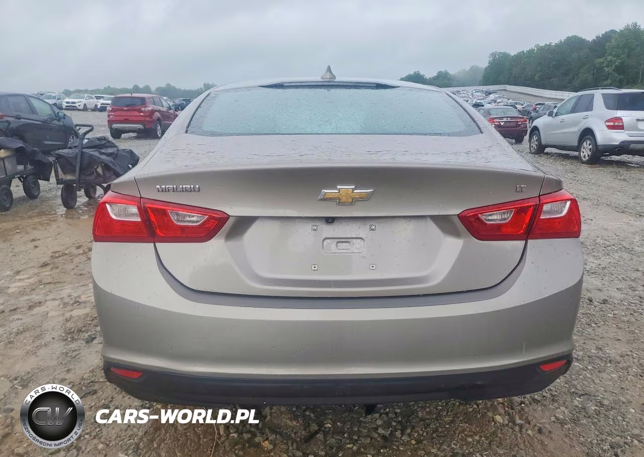 2023 Chevrolet Malibu Lt VIN:1G1ZD5ST5PF247630 - 6