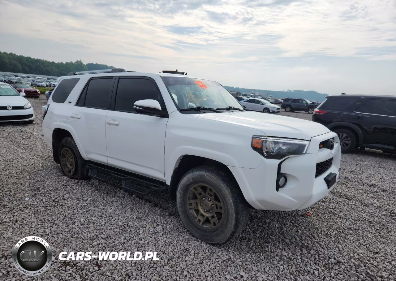 2019 Toyota 4Runner Sr5 Premium VIN:JTEBU5JR4K5693776 - 4