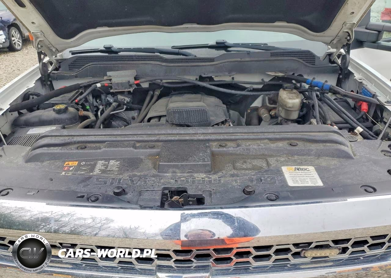2019 Chevrolet Silverado K2500 Heavy Duty VIN:2GC2KREG4K1168860 - 12