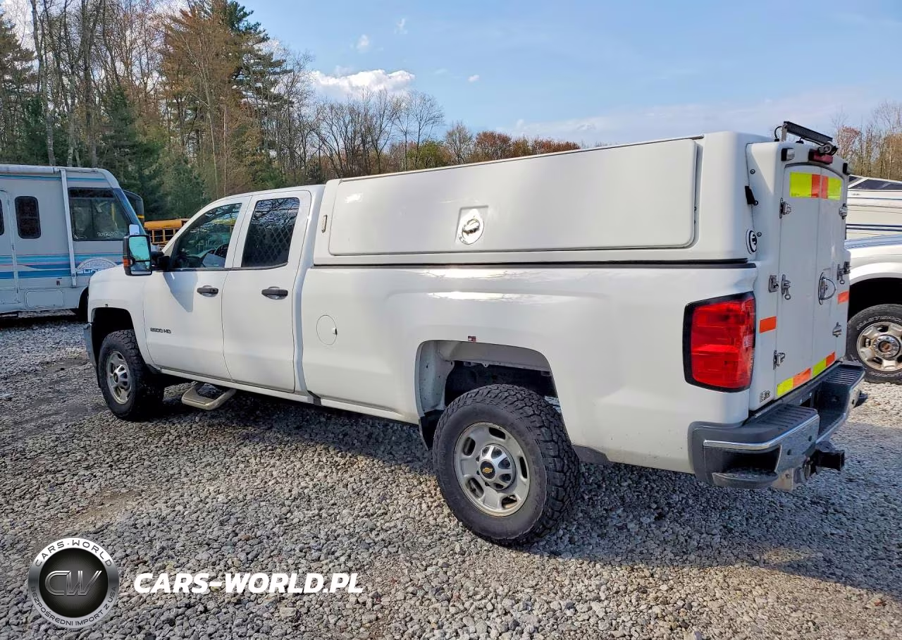 2019 Chevrolet Silverado K2500 Heavy Duty VIN:2GC2KREG4K1168860 - 2