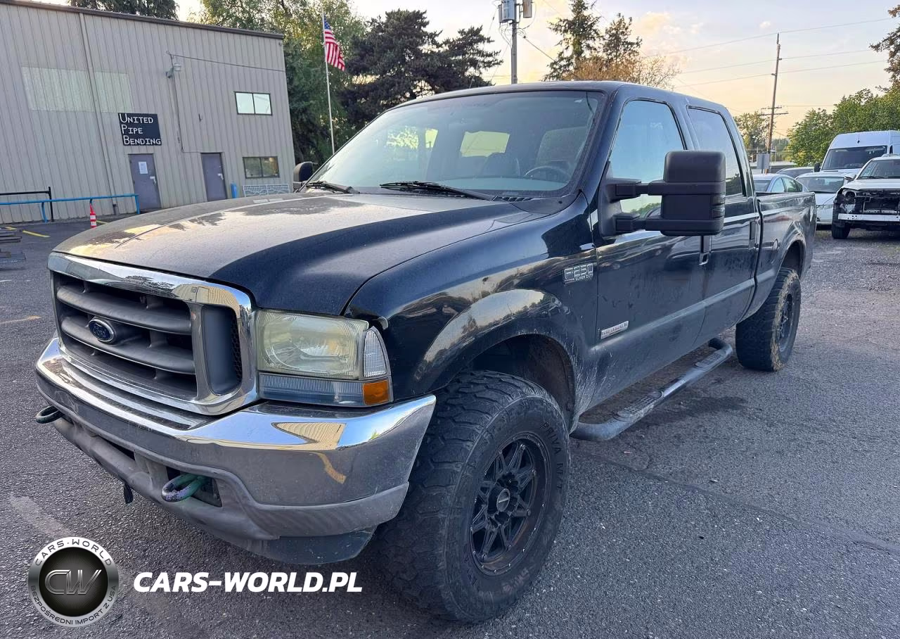 2004 Ford F250 Super Duty VIN:1FTNW21P34EA49116 - 2