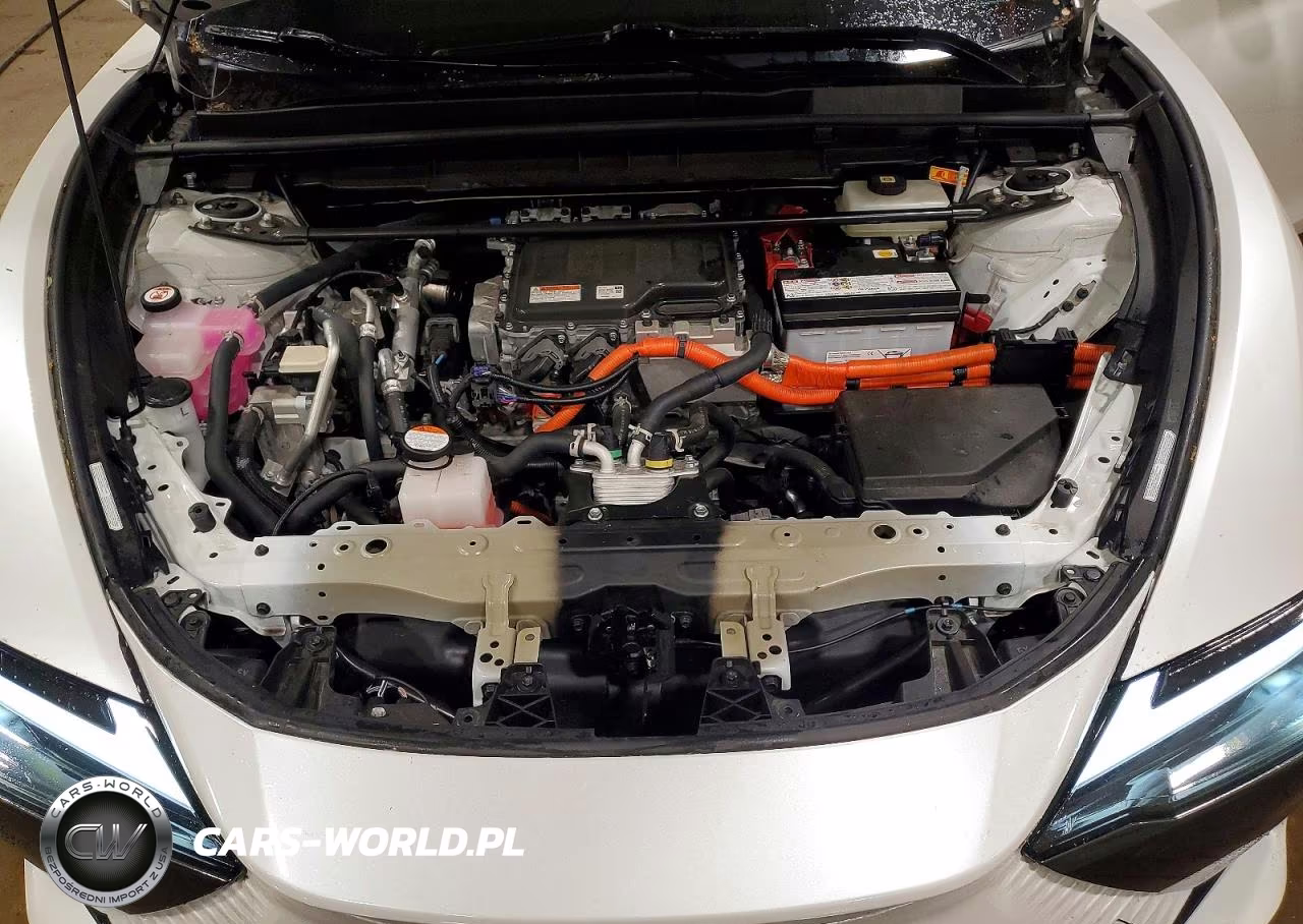 2024 Lexus Rz 450E VIN:JTJAAAAB0RA025900 - 12