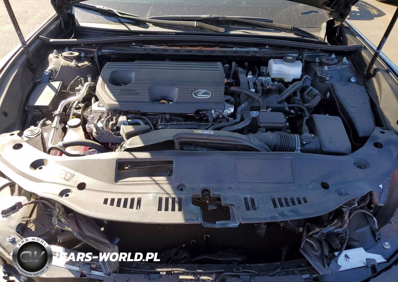 2025 Lexus Es 300H Base VIN:58ADA1C17SU074539 - 11