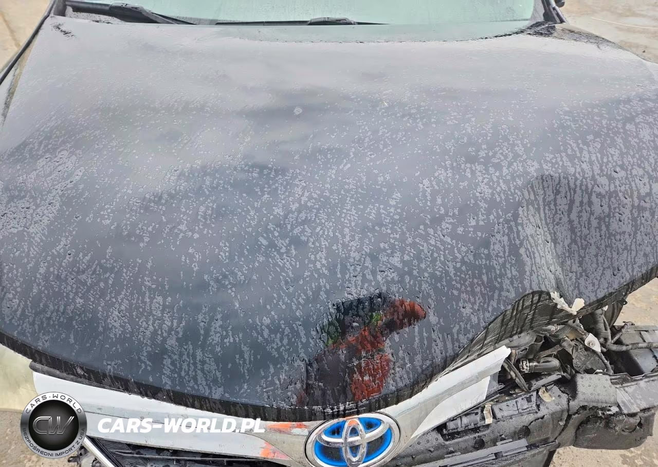 2014 Toyota Camry Hybrid Xle VIN:4T1BD1FK2EU114735 - 11