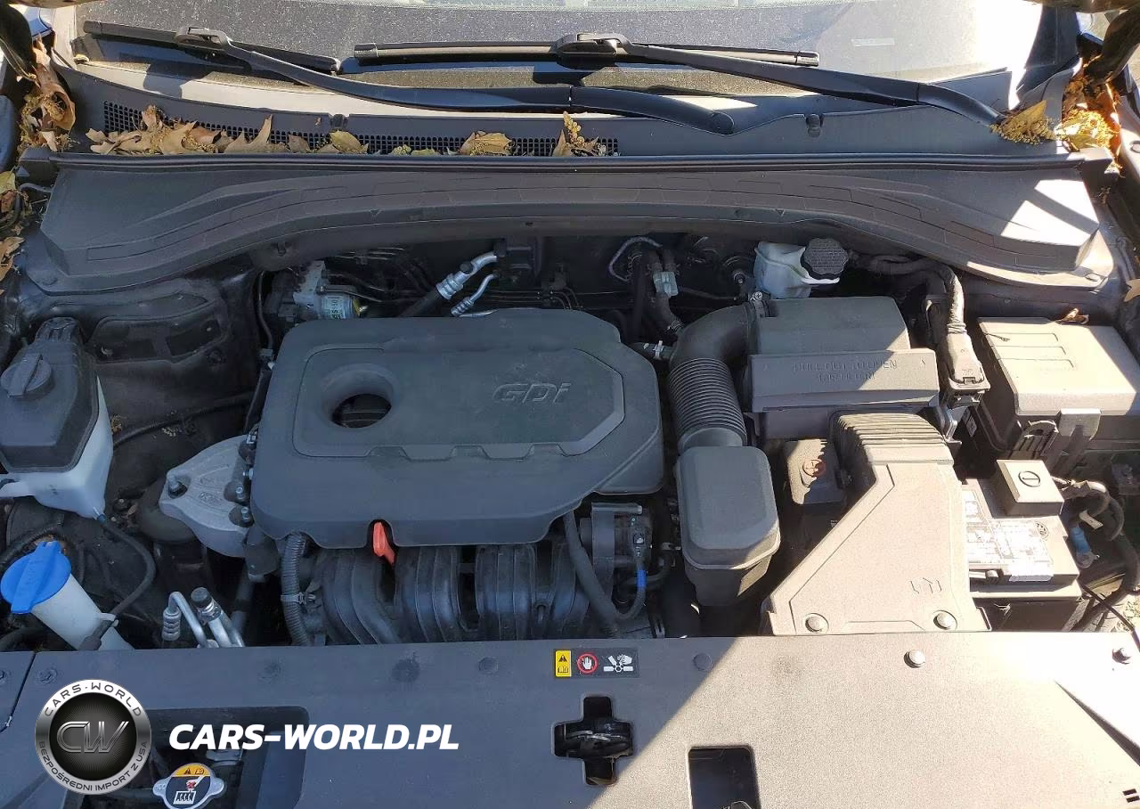 2019 Hyundai Santa Fe Se VIN:5NMS2CAD7KH120550 - 12