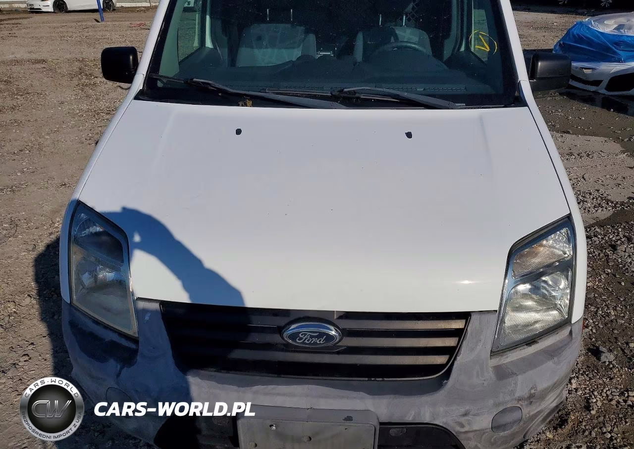 2013 Ford Transit Connect Xl VIN:NM0LS7AN9DT140771 - 11