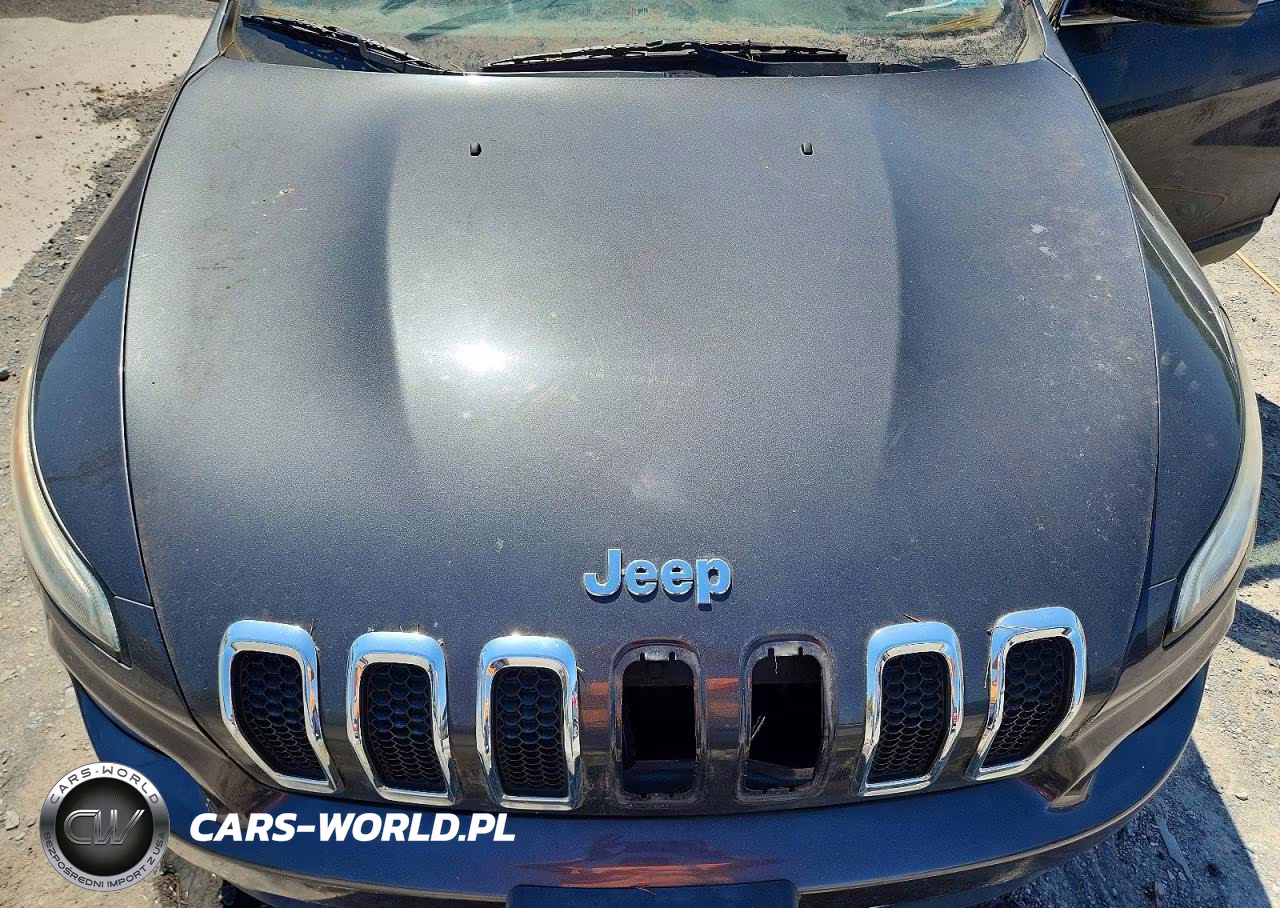 2016 Jeep Cherokee Limited VIN:1C4PJMDS4GW101872 - 12