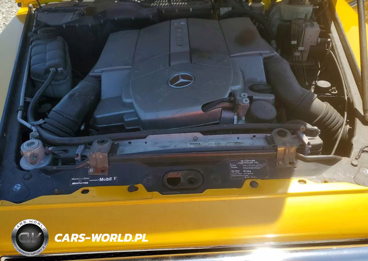 2003 Mercedes-Benz G 55 Amg VIN:WDCYR46E03X140865 - 11