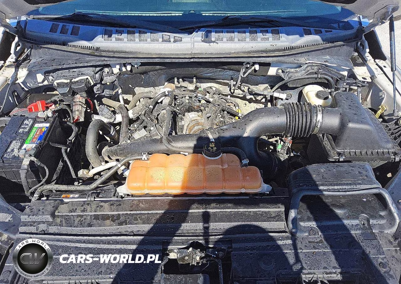 2016 Ford F150 Supercrew VIN:1FTEW1EP8GKE93151 - 11
