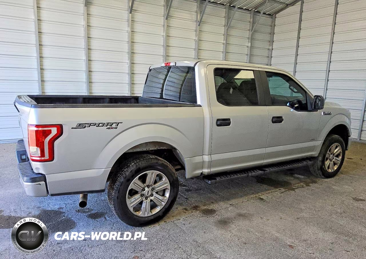 2016 Ford F150 Supercrew VIN:1FTEW1EP8GKE93151 - 3