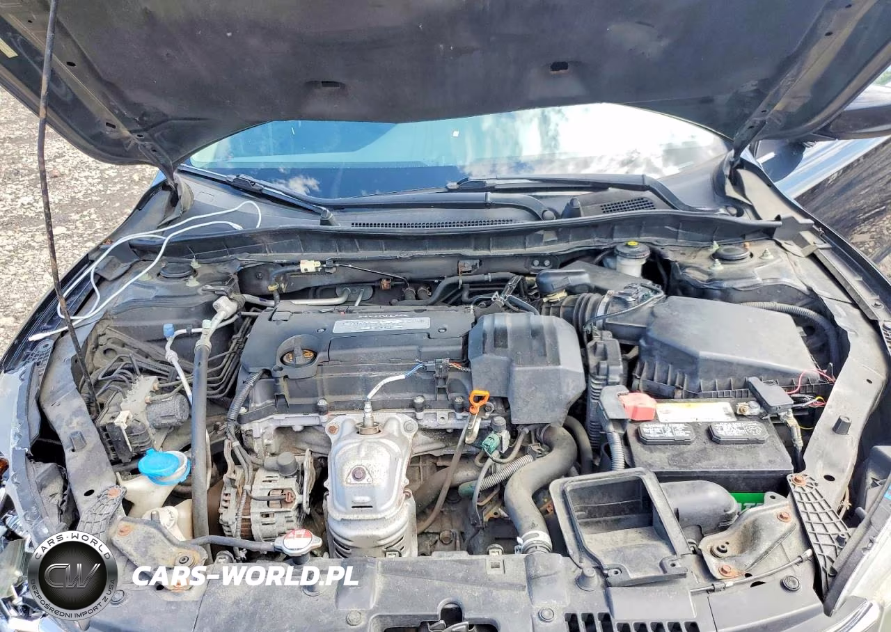 2013 Honda Accord Lx VIN:1HGCR2F31DA242569 - 11