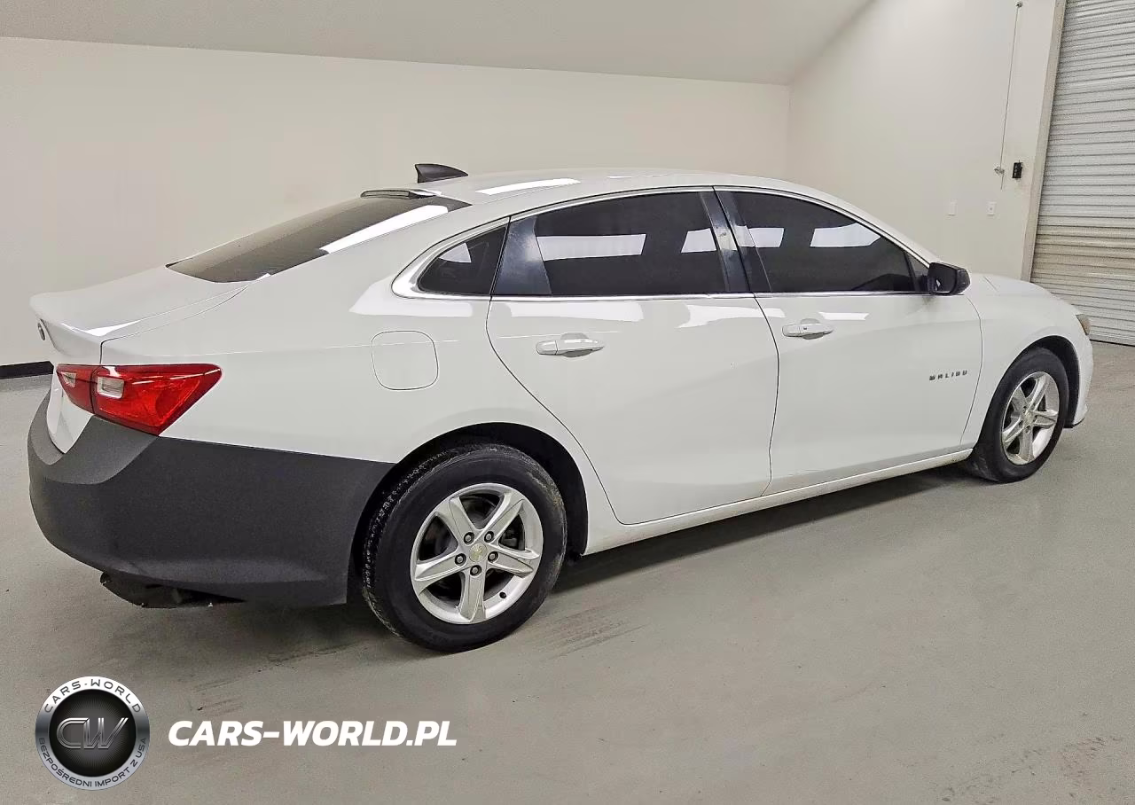 2019 Chevrolet Malibu Ls VIN:1G1ZC5ST8KF191761 - 3