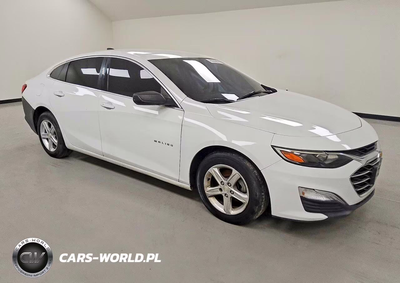2019 Chevrolet Malibu Ls VIN:1G1ZC5ST8KF191761 - 4