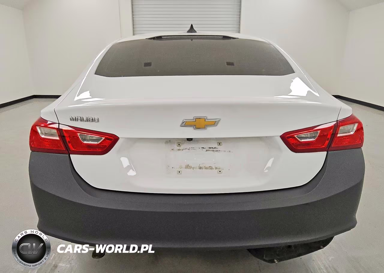 2019 Chevrolet Malibu Ls VIN:1G1ZC5ST8KF191761 - 6