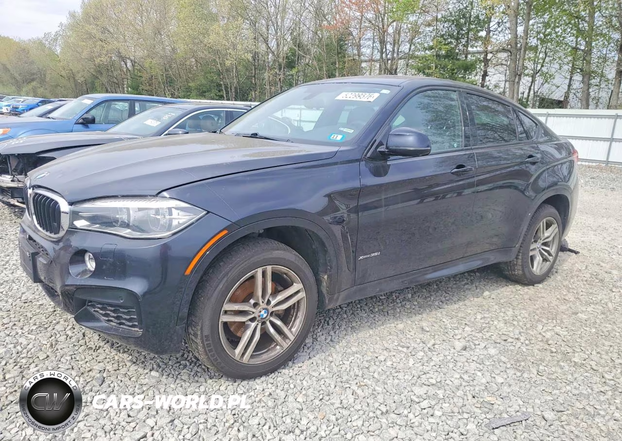 2015 BMW X6 xDrive35I – zdjęcie 1 z 14