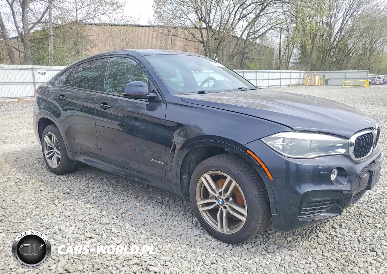 2015 BMW X6 xDrive35I VIN:5UXKU2C51F0F95922 - 4
