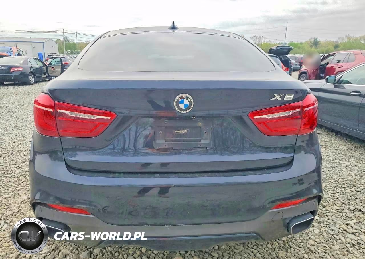 2015 BMW X6 xDrive35I VIN:5UXKU2C51F0F95922 - 6