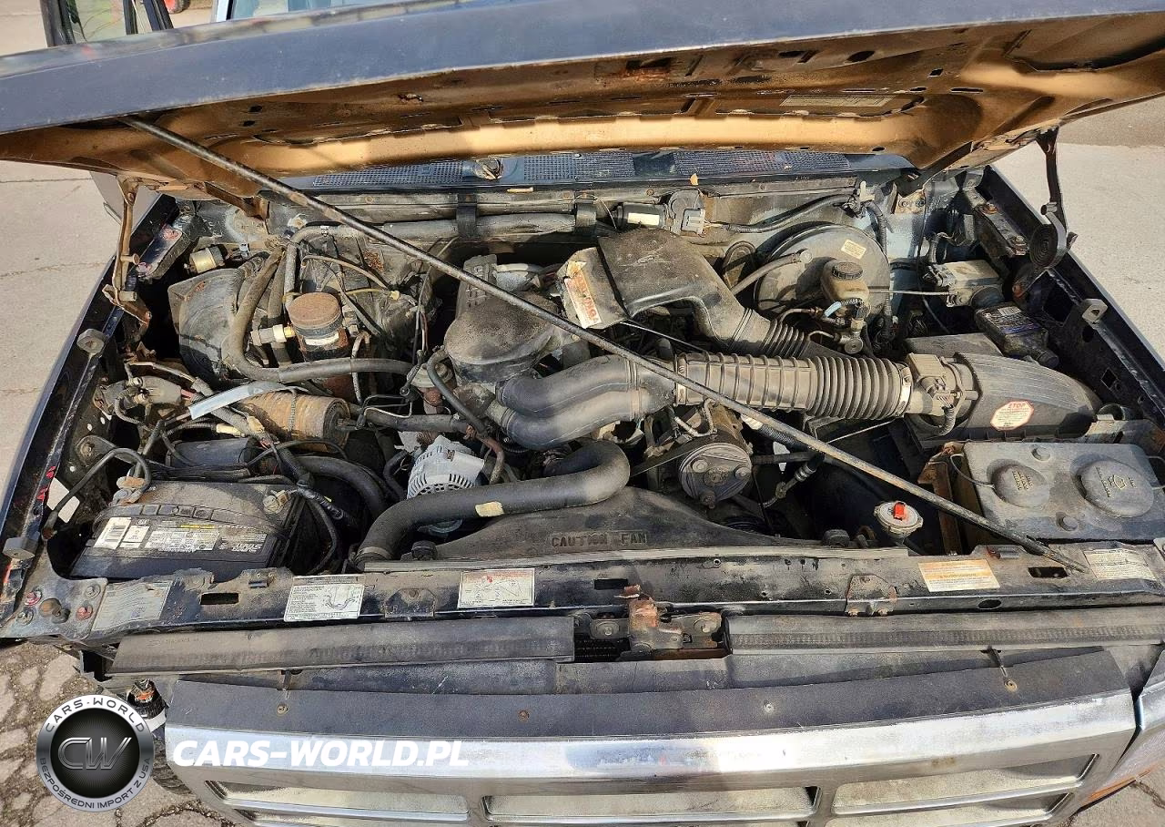 1995 Ford F150 Xl VIN:1FTDF15RXSLA83063 - 11