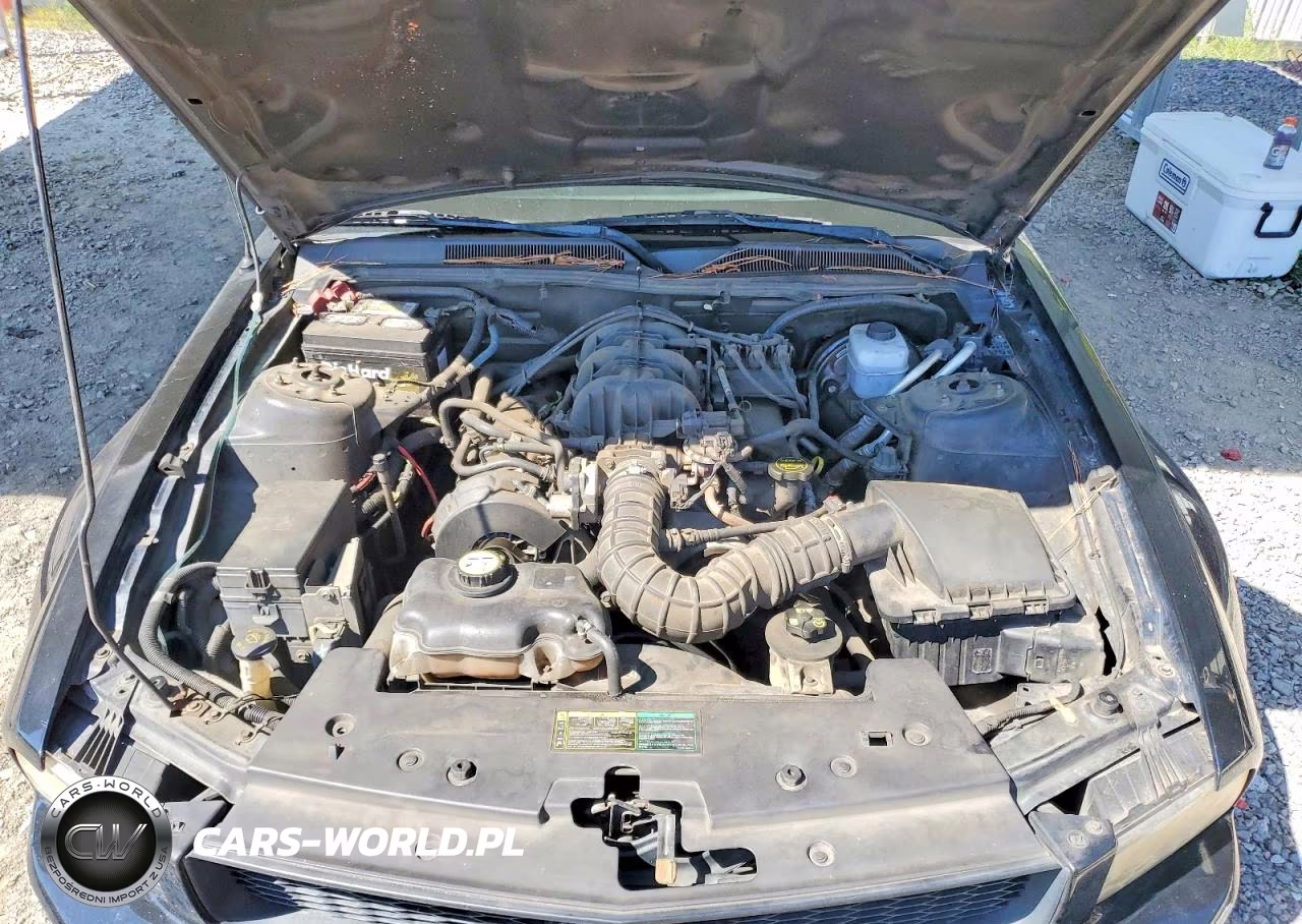 2005 Ford Mustang VIN:1ZVFT80N055193401 - 11