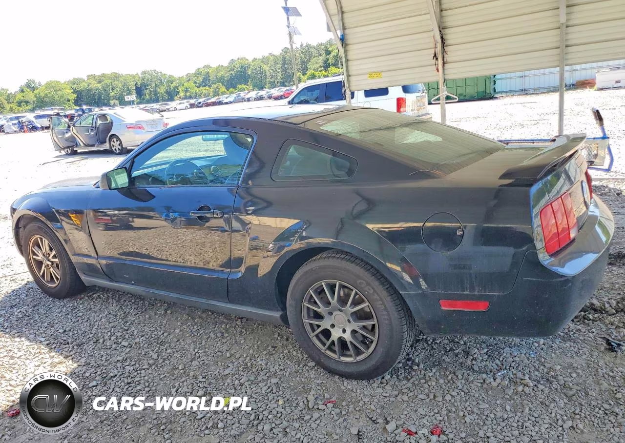 2005 Ford Mustang VIN:1ZVFT80N055193401 - 2