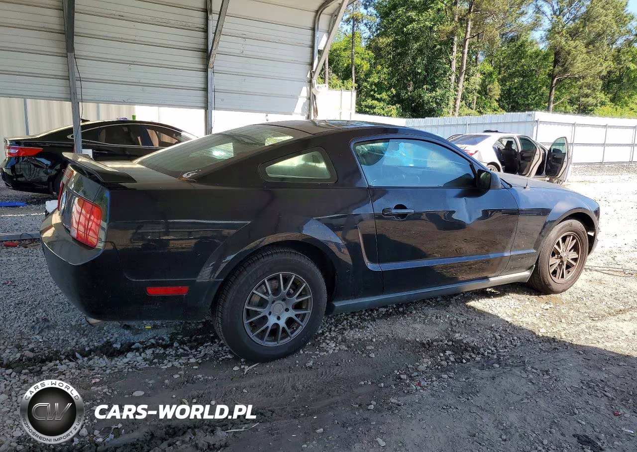2005 Ford Mustang VIN:1ZVFT80N055193401 - 3