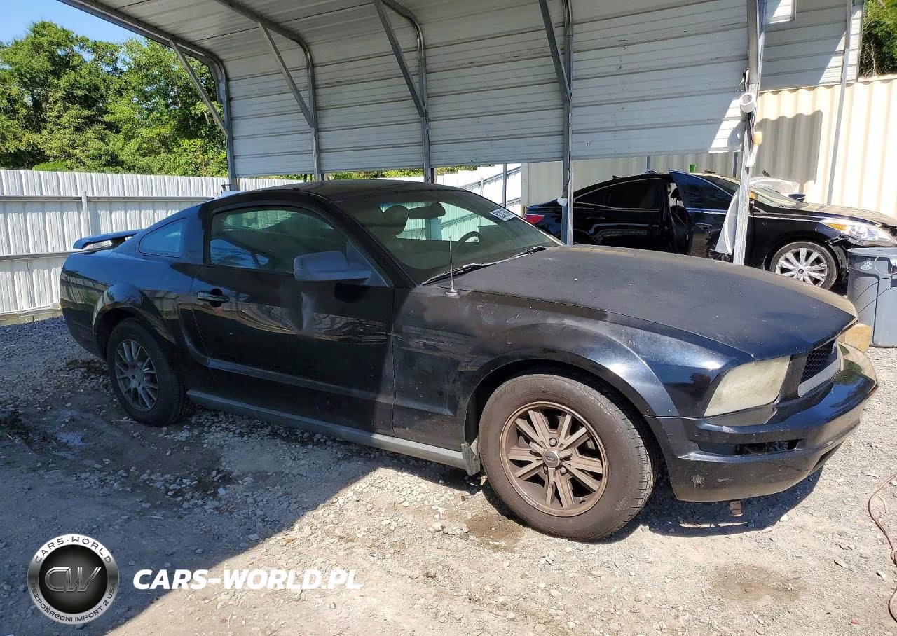 2005 Ford Mustang VIN:1ZVFT80N055193401 - 4
