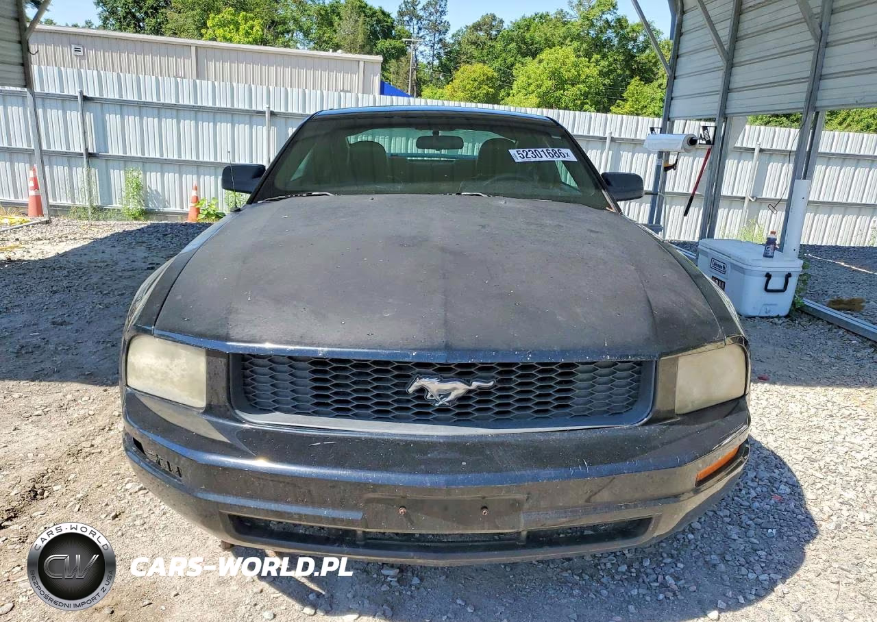 2005 Ford Mustang VIN:1ZVFT80N055193401 - 5