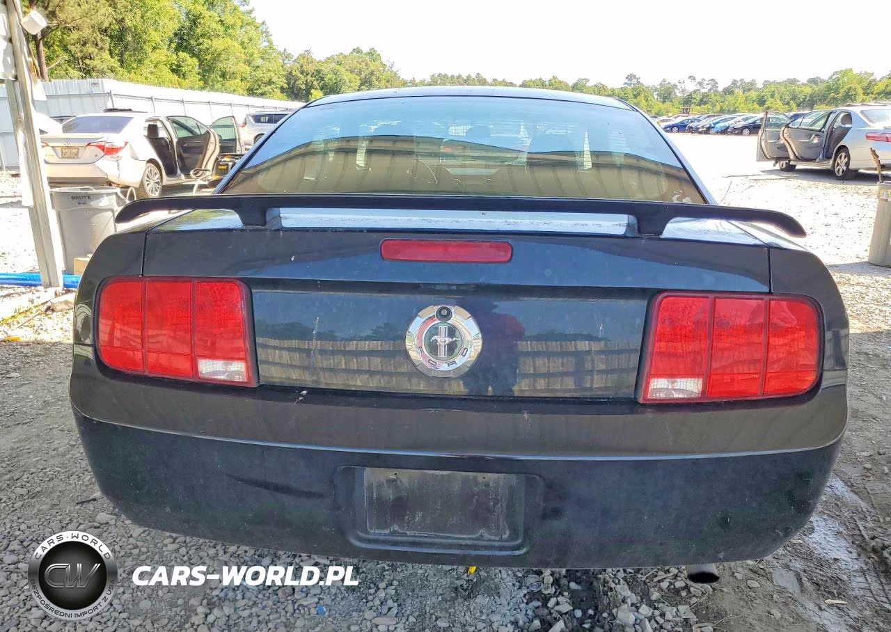 2005 Ford Mustang VIN:1ZVFT80N055193401 - 6