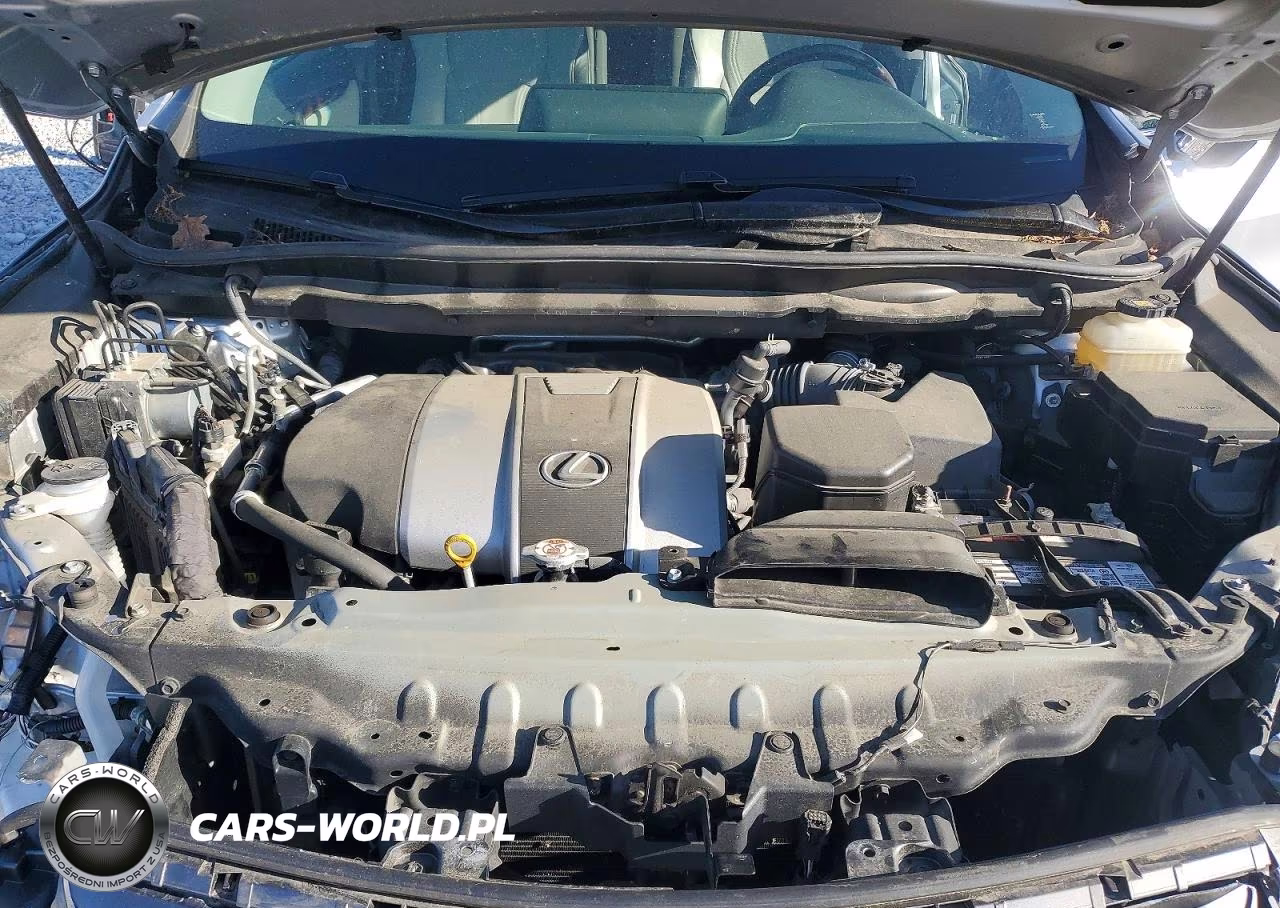 2019 Lexus Rx 350 L VIN:JTJDZKCAXK2015567 - 12