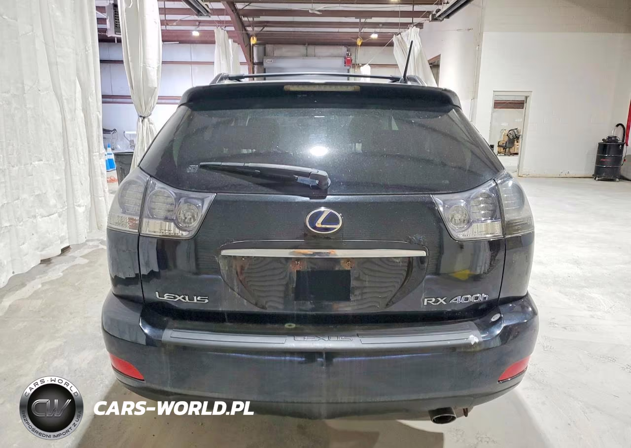 2008 Lexus Rx 400H VIN:JTJHW31U482855561 - 6