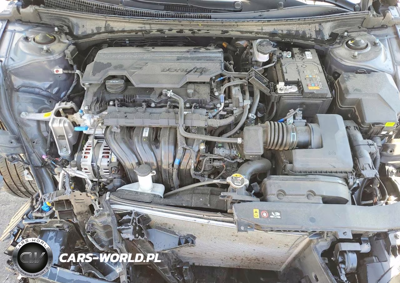 2025 Hyundai Elantra Sel VIN:KMHLS4DG0SU943955 - 11