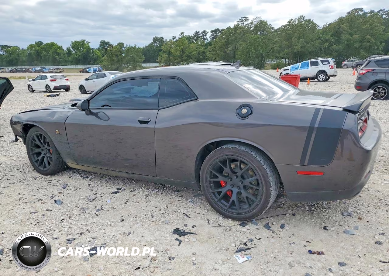 2018 Dodge Challenger R VIN:2C3CDZFJ3JH118356 - 2