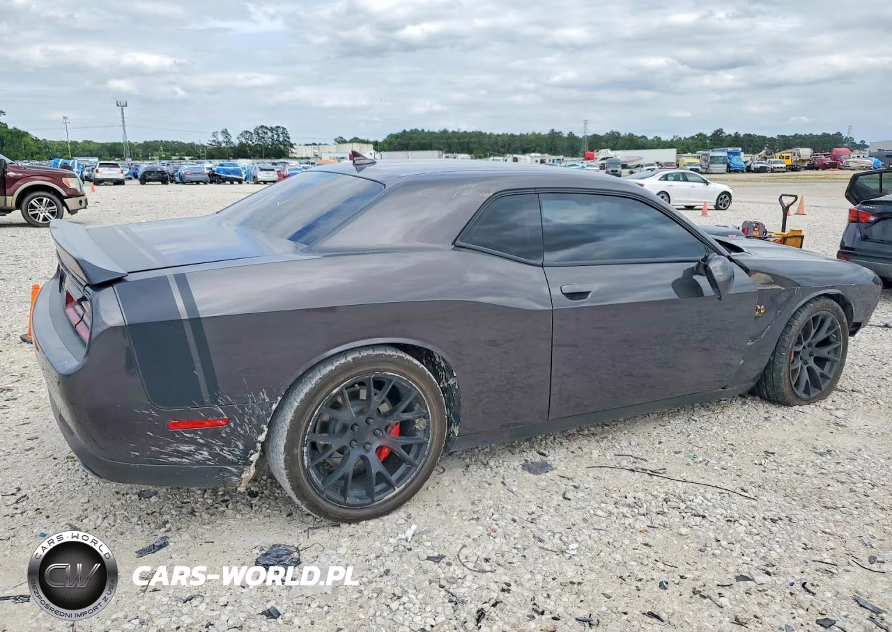 2018 Dodge Challenger R VIN:2C3CDZFJ3JH118356 - 3