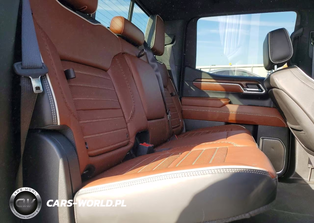 2024 GMC Sierra K1500 Denali Ultimate VIN:1GTUUHE8XRZ304321 - 10