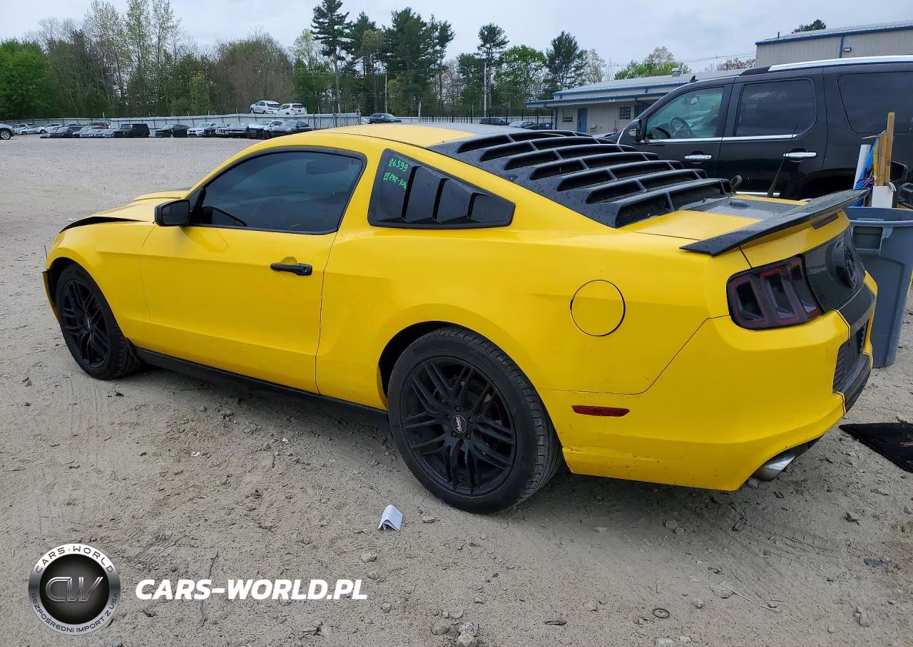 2013 Ford Mustang VIN:1ZVBP8AMXD5260447 - 2