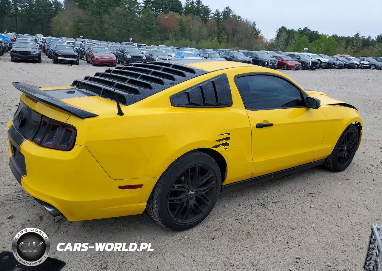 2013 Ford Mustang VIN:1ZVBP8AMXD5260447 - 3