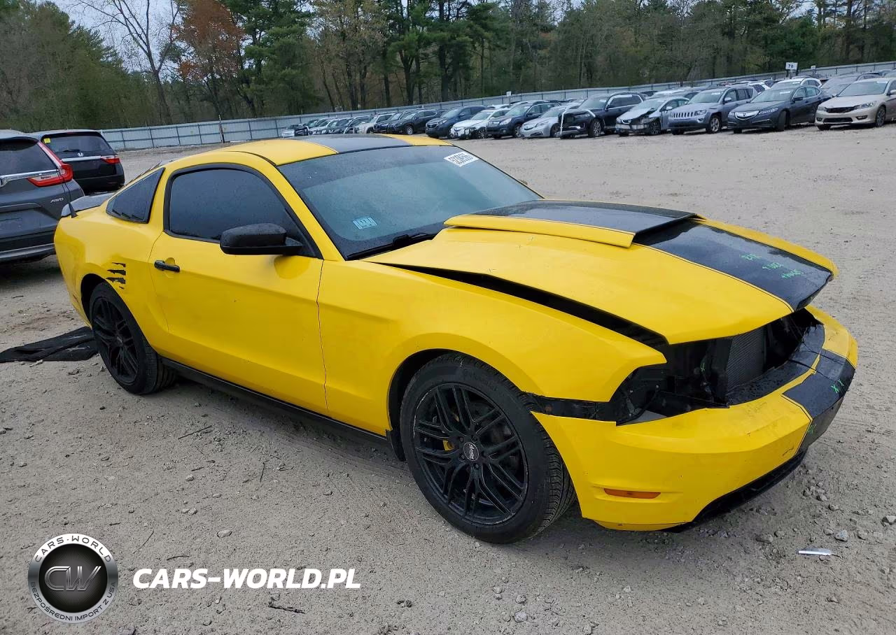 2013 Ford Mustang VIN:1ZVBP8AMXD5260447 - 4
