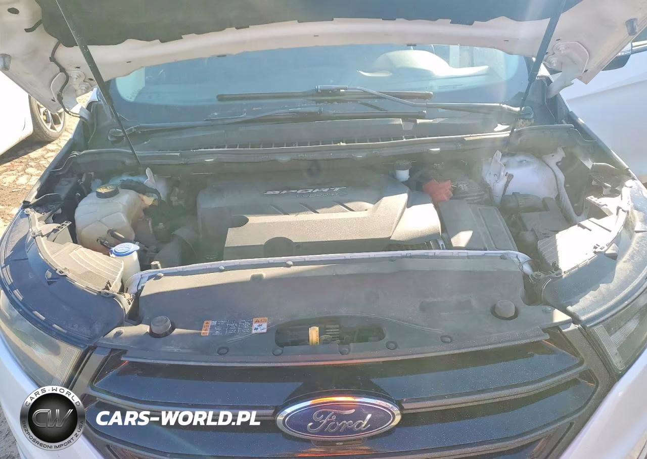 2017 FORD EDGE SPORT VIN:2FMPK4AP6HBB23092 - 12