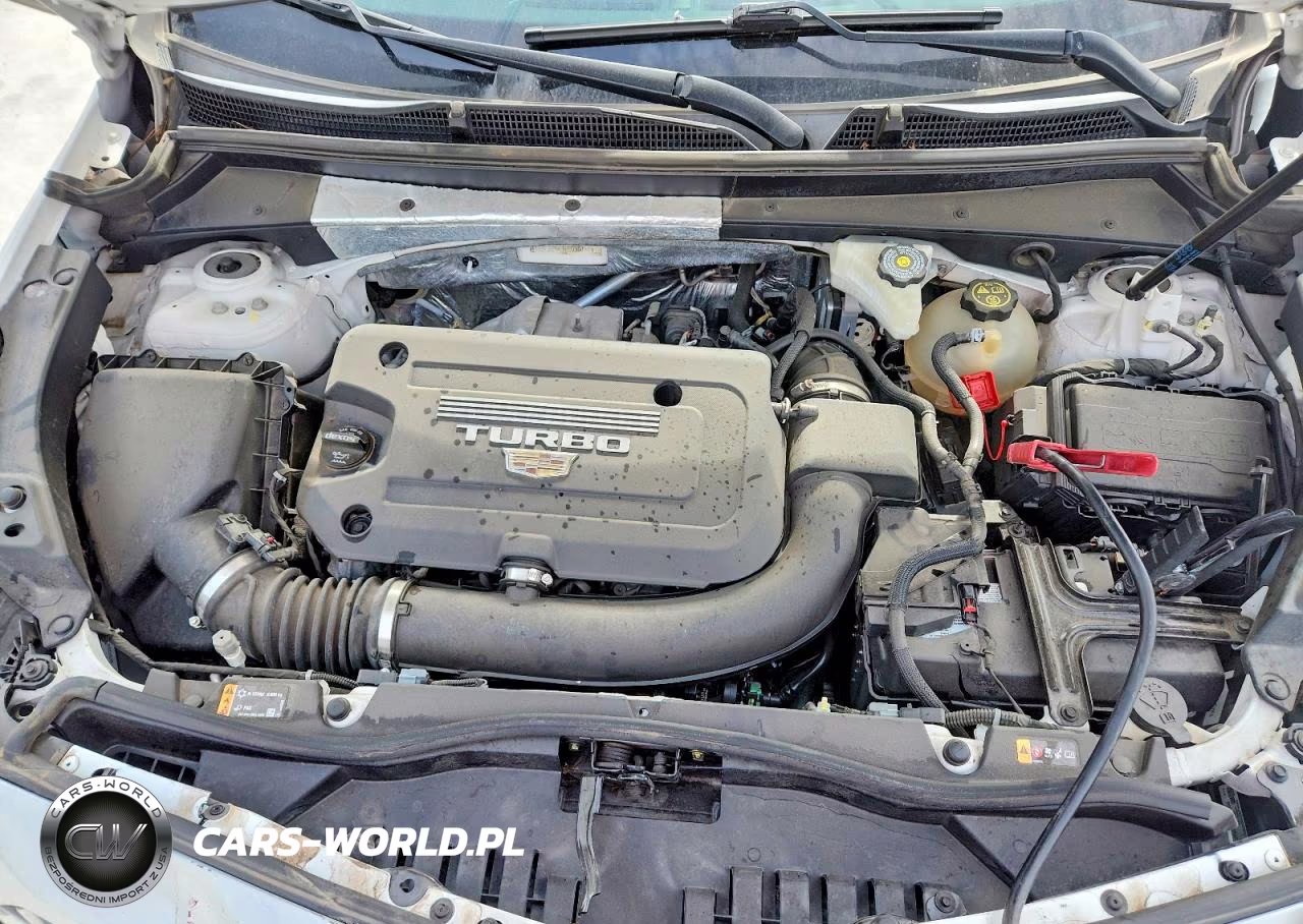 2020 Cadillac Xt4 Sport VIN:1GYFZER47LF036184 - 11