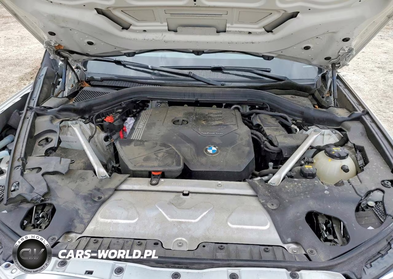 2022 BMW X3 VIN:5UX43DP05N9K48087 - 12