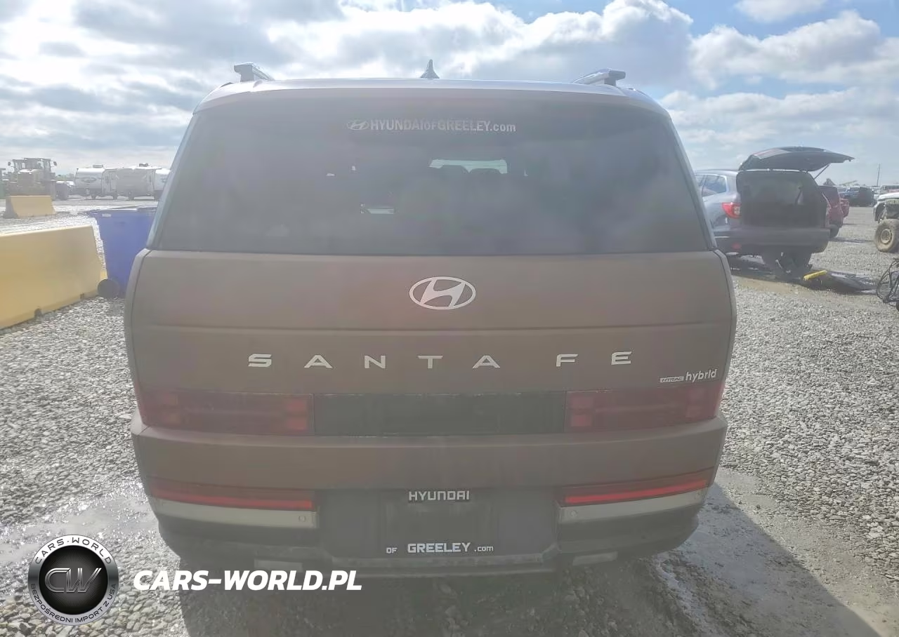 2024 Hyundai Santa Fe Limited VIN:5NMP3DG11RH008424 - 6