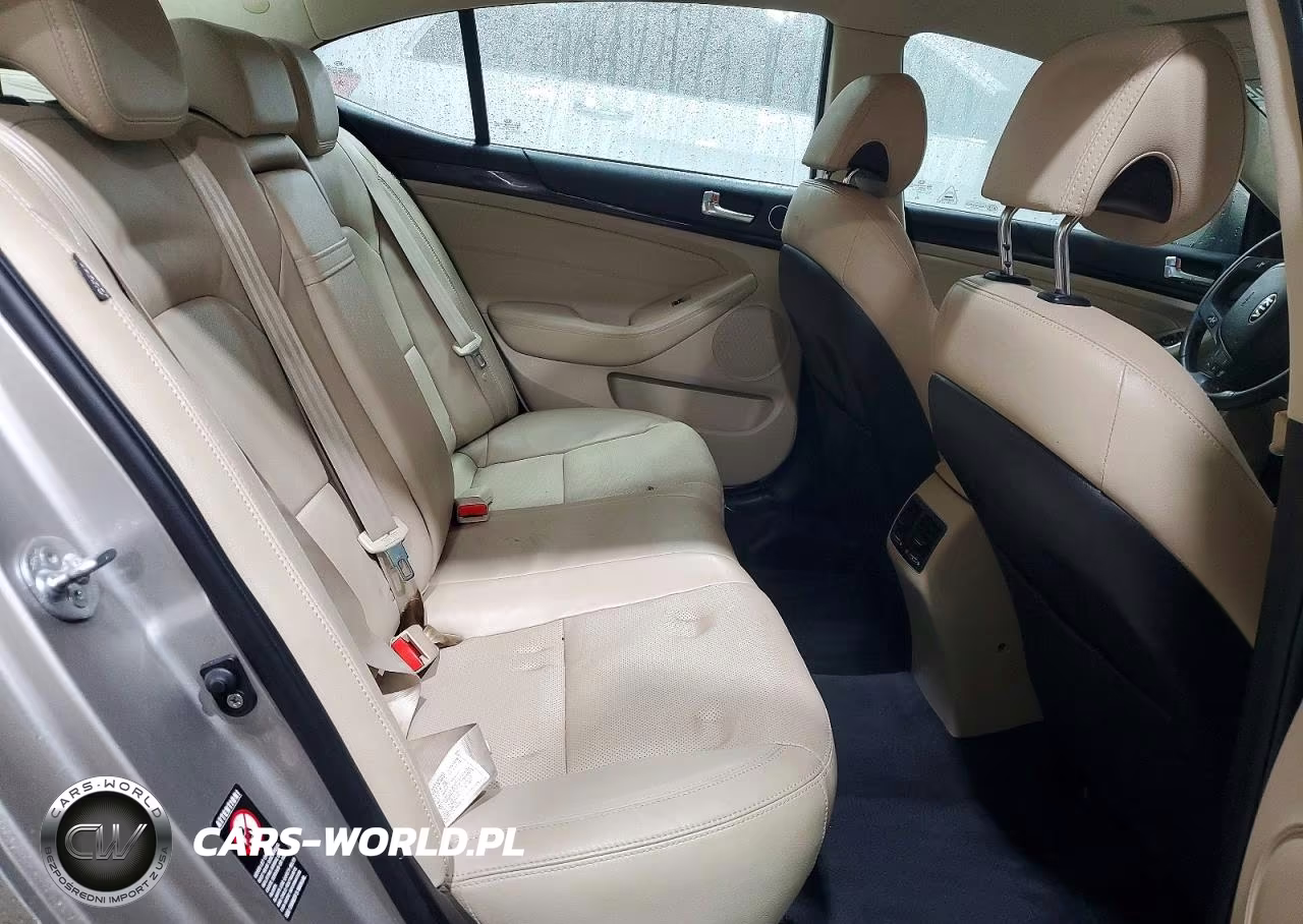 2014 Kia Cadenza Premium VIN:KNALN4D73E5140189 - 10