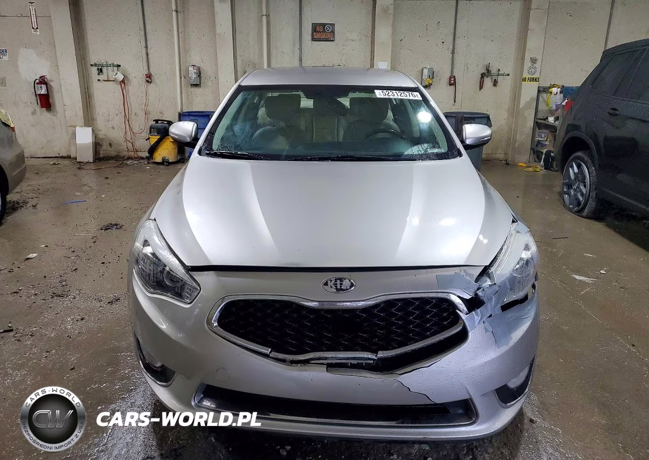 2014 Kia Cadenza Premium VIN:KNALN4D73E5140189 - 5