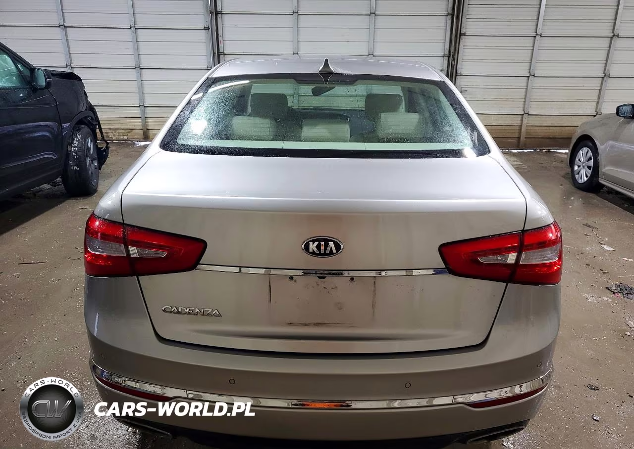 2014 Kia Cadenza Premium VIN:KNALN4D73E5140189 - 6
