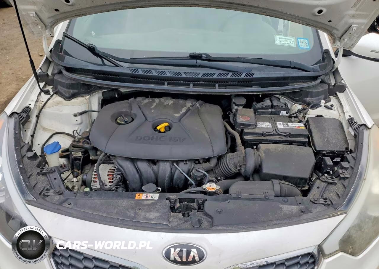 2016 Kia Forte Lx VIN:KNAFX4A63G5462854 - 11