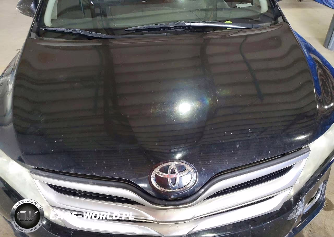 2013 Toyota Venza Le VIN:4T3BA3BB2DU039762 - 12