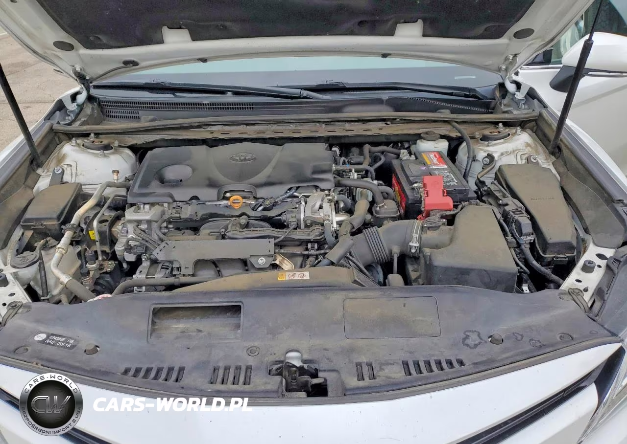 2019 Toyota Camry Xle VIN:4T1B11HK2KU781323 - 11
