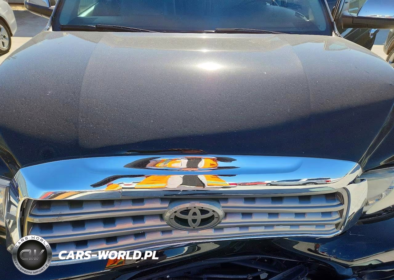 2016 Toyota Sequoia Limited VIN:5TDKY5G10GS064348 - 11