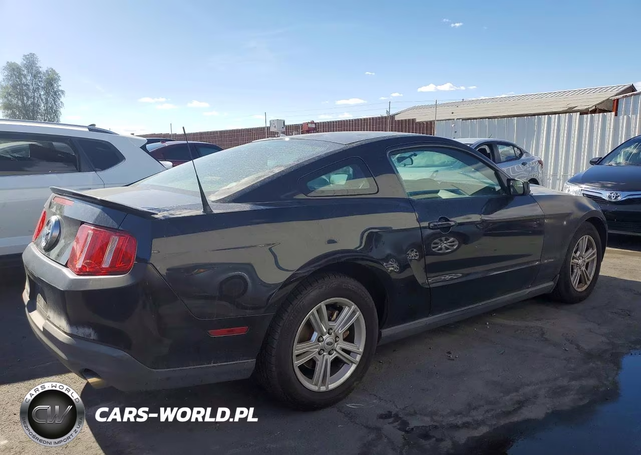 2010 Ford Mustang VIN:1ZVBP8AN5A5152189 - 3