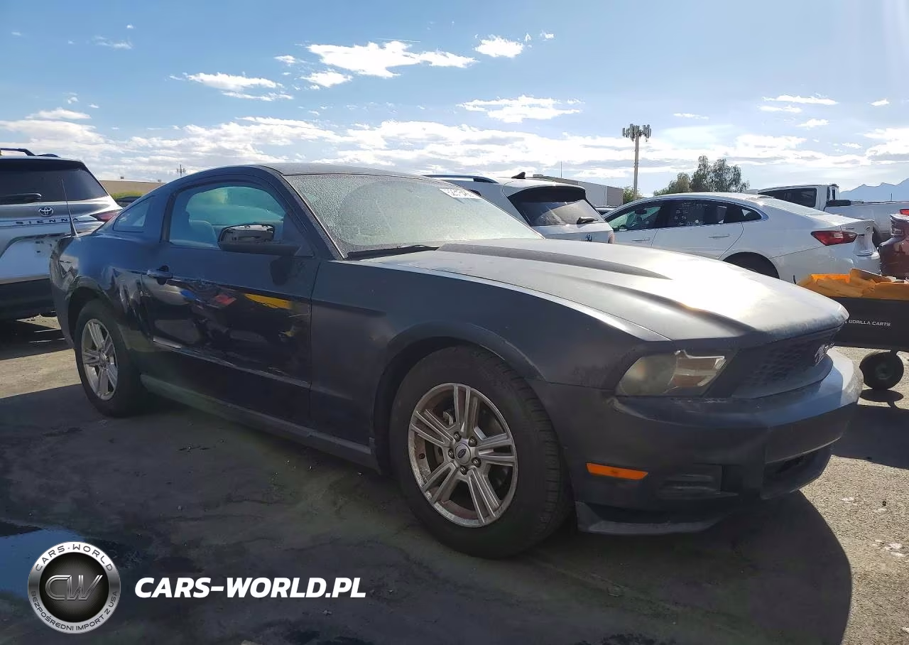 2010 Ford Mustang VIN:1ZVBP8AN5A5152189 - 4